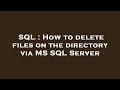 SQL : How to delete files on the directory via MS SQL Server