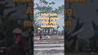 Inilah tujuh makhluk ciptaan Allah yang mematikan #feedshorts #youtube #quotes #faktadunia #foryou