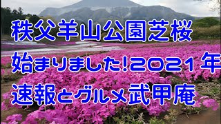 ＃秩父 ＃芝桜 ＃グルメ武甲庵　【原付ツーリング】埼玉県秩父羊山の芝桜　始まりました。これから見頃ですよ～！2021年速報と秩父グルメ、武甲庵のモーニング