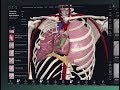 Getting Started with Complete Anatomy