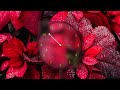 Creating a Basic Analog Clock with HTML, CSS, and JavaScript || JavaScript Clock || By WebDev Xpert