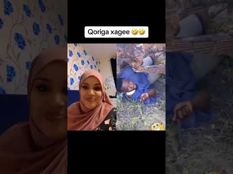 Naag Qooqan Niiko #niiko #tiktok #somali #somalia - YouTube