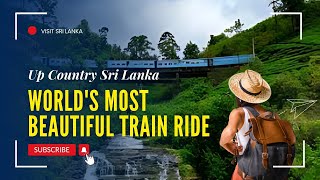 🚆 Most Scenic Train Ride in Sri Lanka | Tea Plantations \u0026 Waterfalls #train #visitsrilanka #travel