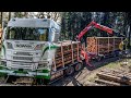 SCANIA R650 V8 🚚💨 🌲 PORTEUR + REMORQUE FRIEDERICH (TRANSPORTS HOLTZ)