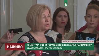 Геращенко об избиении главы молодежки Европейской солидарности