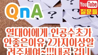 열대어에게 인공수초가안좋은이유 2가지이상알려주세여~!!!내공 겁니다