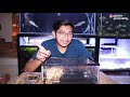 unboxing paling capek tapi menyenangkan isinya hewan terganas terkecil dan ter