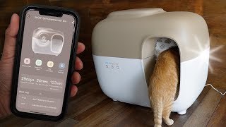 Testing Out Pet Snowy Snow+ Automatic Cat Litter Box