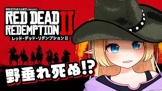 【初見】事故しか起こさない…ふわふわエルフのレッドデッドリデンプション2【RDR2】   #reddeadredemption2  #個人勢vtuber