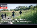 Miles con trámites migratorios pendientes están alarmados Edicion Digital 15 de noviembre de 2024