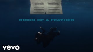 Billie Eilish - BIRDS OF A FEATHER ( Lyric )