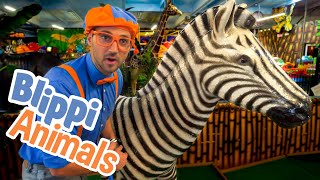 Blippi and Jungle Animals | Explore with BLIPPI!!! | Educational Videos for Toddlers
