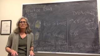 Practice final 2Qgh heterochromatin factors are limiting