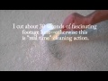 Cleaning Latex Paint Off Carpet Cleaning Latex Paint Off Carpet
