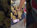 Durian Durian Jualan Longgok 📌 Pasar Malam Padang Jawa Jumaat