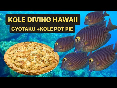 The most DELICIOUS fish in HAWAII- Yelloweye Kole Catch and Cook plus Gyotaku fish-print creation