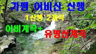 1산행 2계곡 가평 어비산 계곡산행 ㅣ어비계곡과 유명산계곡 ㅣ