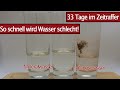 Leitungswasser und Mineralwasser über 33 Tage im Zeitraffer - Time Lapse zur Haltbarkeit von Wasser