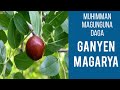 magunguna biyar (5) daga ganyen magarya