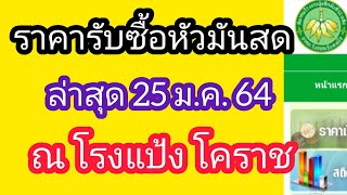 ราคารับซื้อหัวมันสด ณ โรงแป้ง จังหวัดนครราชสีมา/ราคามันสำปะหลังวันนี้/ราคามันสำปะหลังล่าสุด