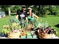 1st Organic Garden Harvest- Summer 2018