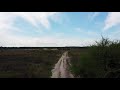 walking in fields and forests het gooi the netherlands 4k⁶⁰