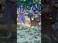 鹿に餌やりタイム🫎外国人観光客🦌奈良公園