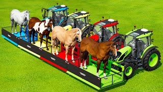 TRANSPORTING HORSES WITH VALTRA & CLAAS COLORED TRACTORS - Farming Simulator 22