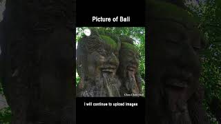 BALI UBUD HD #shorts #bali #ubud #hd #3325