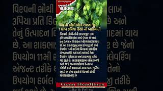 જાણો નવું ને અનોખું : શાકભાજી #રોચકheadlines  #shorts #youtubeshort #viralvideo #trending