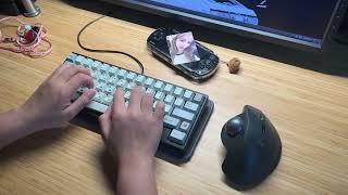 bd60 wkl × hmx hyacinth v2u