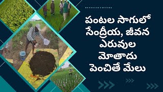 పంటల సాగులో సేంద్రీయ, జీవన ఎరువుల మోతాదు పెంచితే మేలు || శ్రీ గంగిరెడ్డి వెంకట్ రెడ్డి