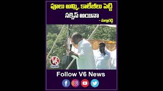 పూలు అమ్మి, కాలేజీలు పెట్టి సక్సెస్ అయినా | Malla Reddy | V6 News