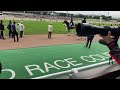 第90回日本ダービー 本馬場入場 東京競馬場にて