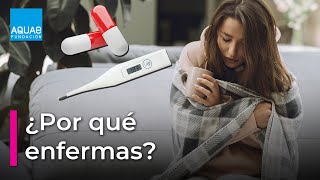 💊¿Por qué te PONES ENFERMO?🌡️ | La TRIADA ECOLÓGICA