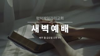 2024.12.23.평택제일교회 새벽예배