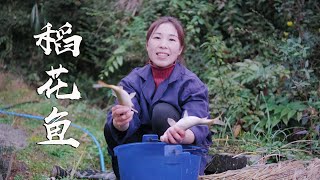 Xinyi went to the field to catch the rice flower fish, so enjoyable!