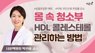 심혈관 질환, 파킨슨병 ‘hdl’관리만 잘 하면 예방할 수 있다!?