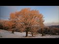 風景写真スライドショー 　奥三河の風景写真　樹氷