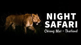 Chiang Mai Night Safari - What an INCREDIBLE EXPERIENCE!