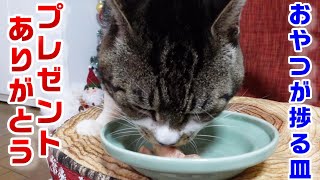 リキちゃんに素敵なプレゼント頂きました🎵爆食いする猫！ちゅ～るタワーが見つからないから贅沢ぽんちゅ～る☆お礼動画☆ASMR☆りーやん先生登場【リキちゃんねる・猫動画】　キジ白猫のいる暮らし