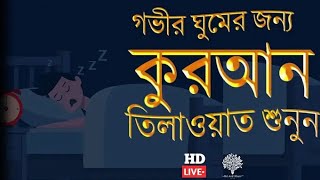 গভীর ঘুমের জন্য কুরআন তিলাওয়াত শুনুন