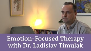 An Illustration of Emotion-Focused Therapy with Dr. Ladislav Timulak