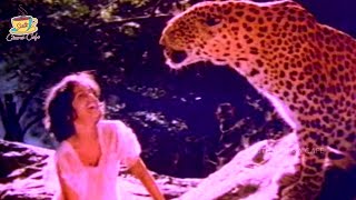 Tarzan Sundari Movie Special Part 1 | Vinod Nag, Silk Smitha