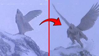Incredible Moments Caught on Camera Ep.24