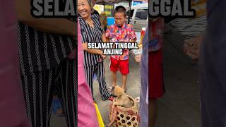 Anjingnya dijual di pasar #viral #shorts