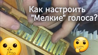 Как настраивать самые мелкие голоса на баяне или аккордеоне? Совет от мастера😤👍👍