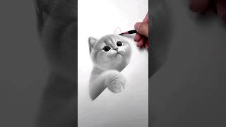How to draw a cute cat | Drawing a Cat #shorts #drawing #art