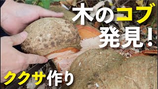 木のコブ発見！ククサ作りに挑戦