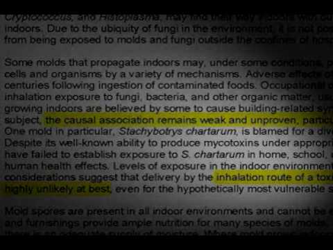 Black Mold Exposure Movie Trailer Youtube